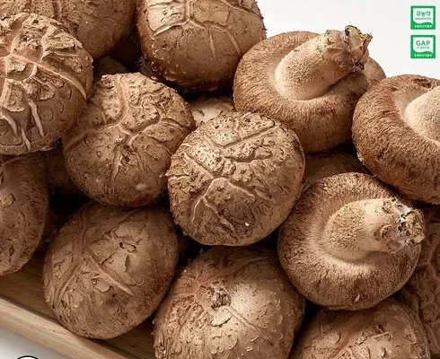 인기좋은 못난이 표고버섯 3kg 가격비교 정리