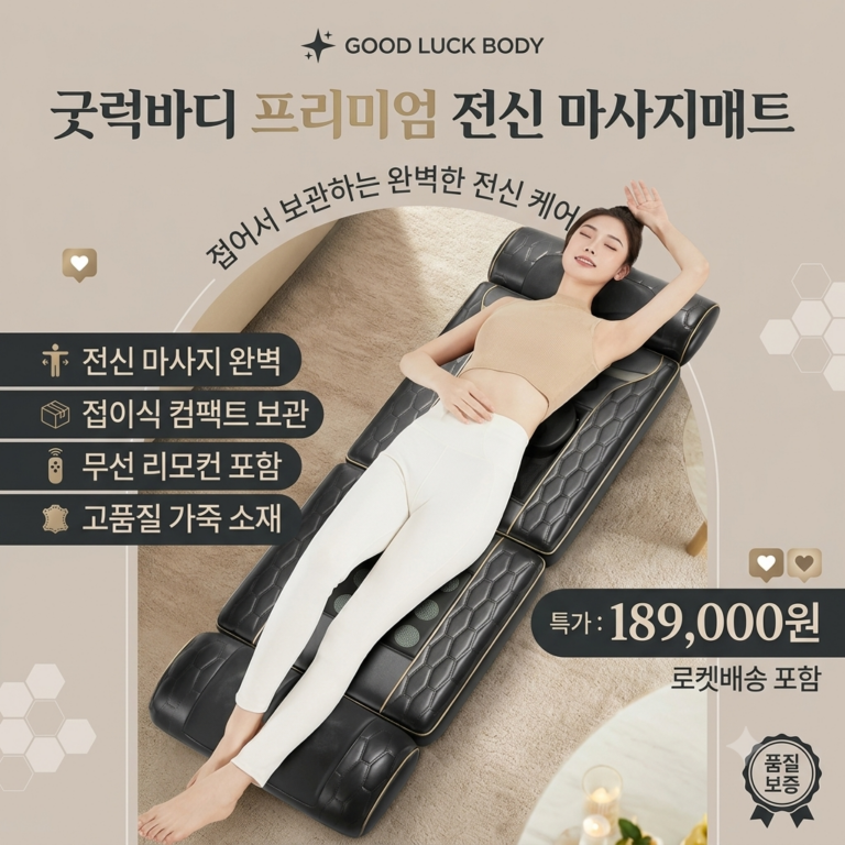어르신 안마기 등 부모님 효도 선물용 어르신 안마기 추천 BEST